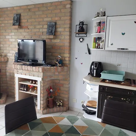 Tatil Evi Golfbreker 11 De Haan